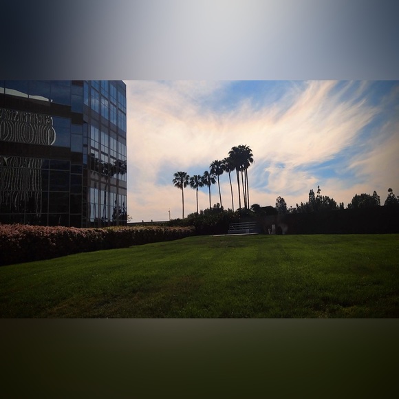 Meet your Posher, Joy - Picture 1 of 1